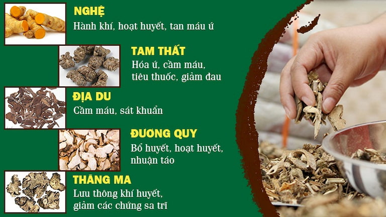 Một số loại thảo dược trong Thăng trĩ Dưỡng huyết thang