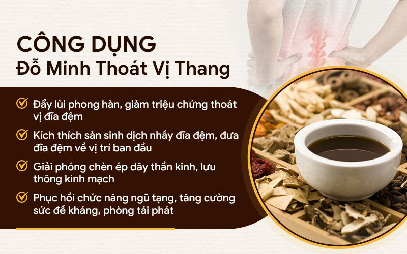 Công dụng của bài thuốc Đỗ Minh thoát vị thang